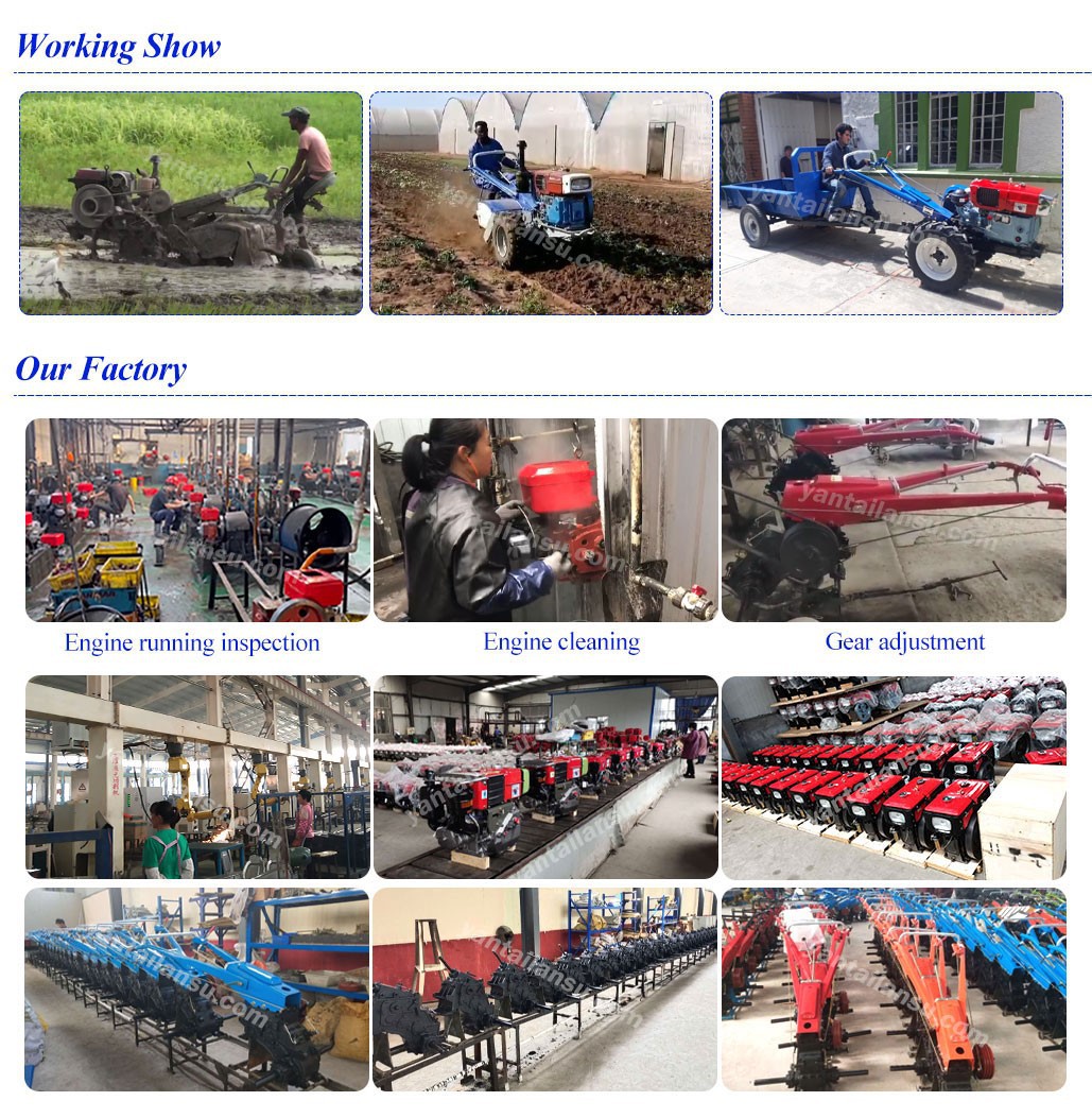 LS-15-2204 LS-15-2204